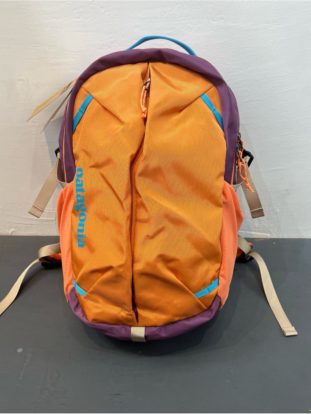Patagonia 26L Orange and Purple Everyday Backpack
